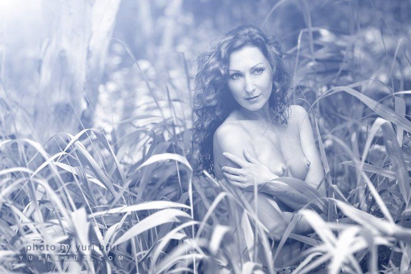 Wood imaginations фото превью