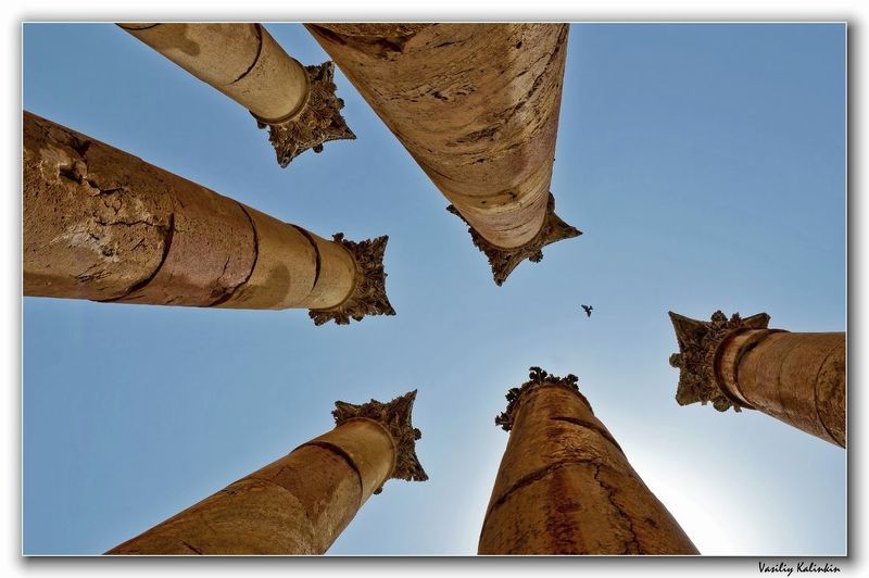 Голубиный рай фото превью