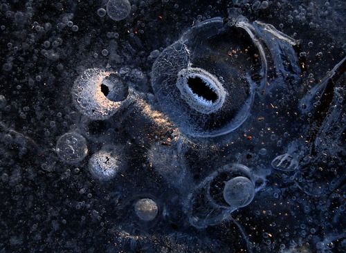 Микрокосмос льда.