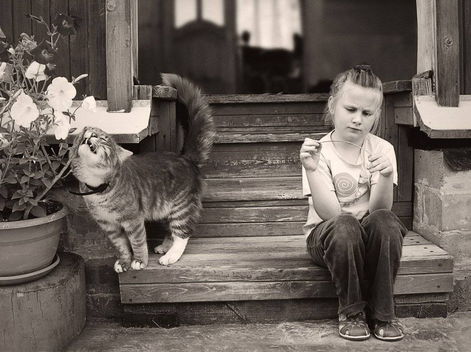 , Тарасова Катя