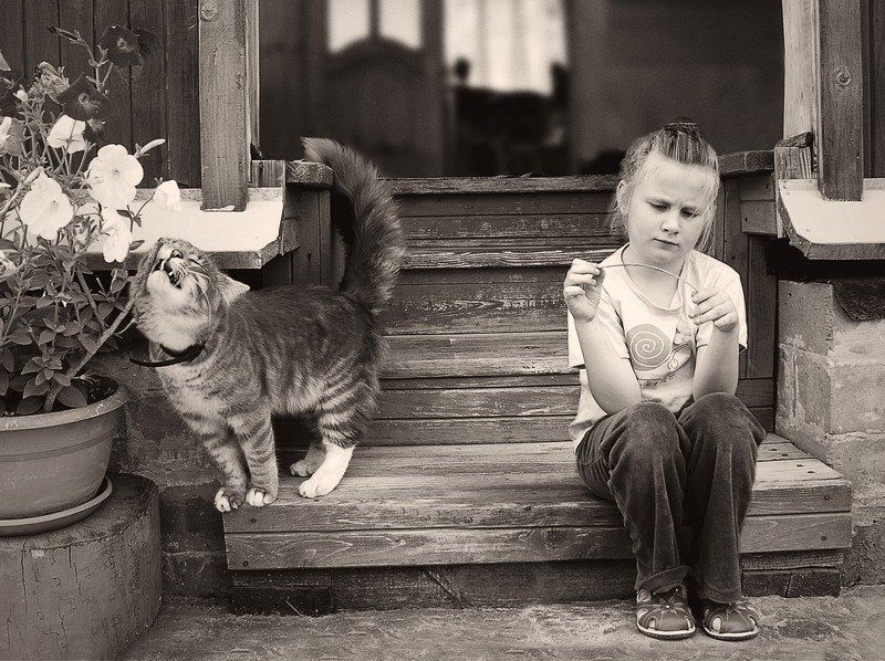 хороший денек фото превью