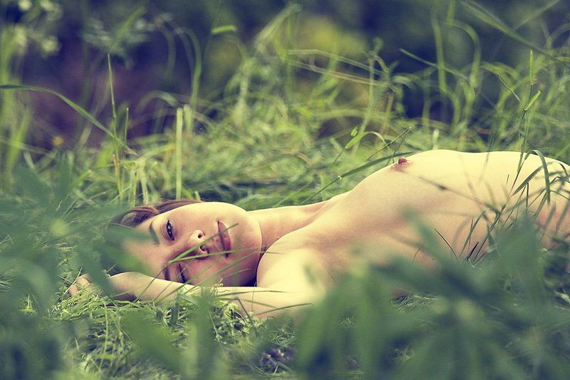 лето,природа,трава,жара,сон,нега,девушка,альфред,микус засыпая в лете фото превью