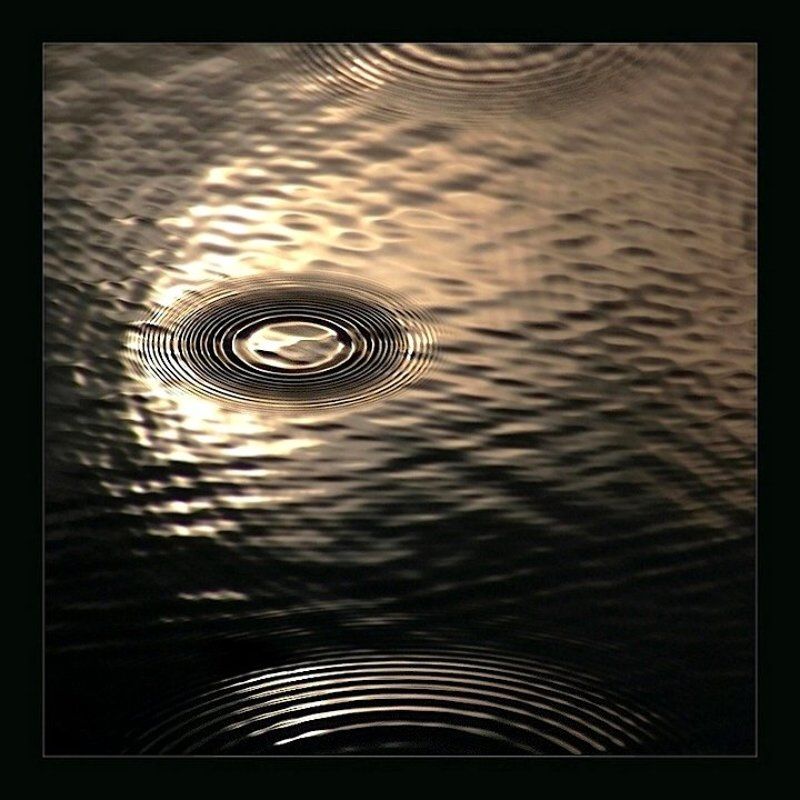 Fish eye фото превью