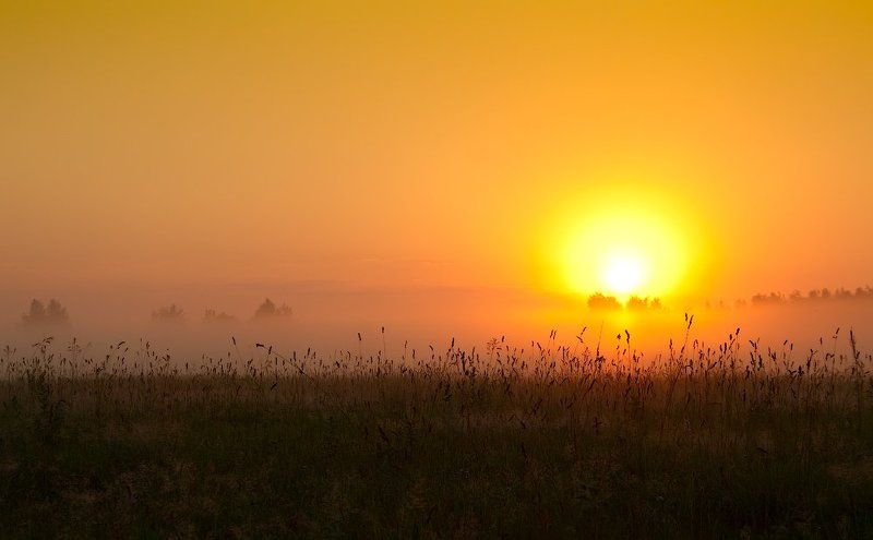 Восход под Ногинском фото превью