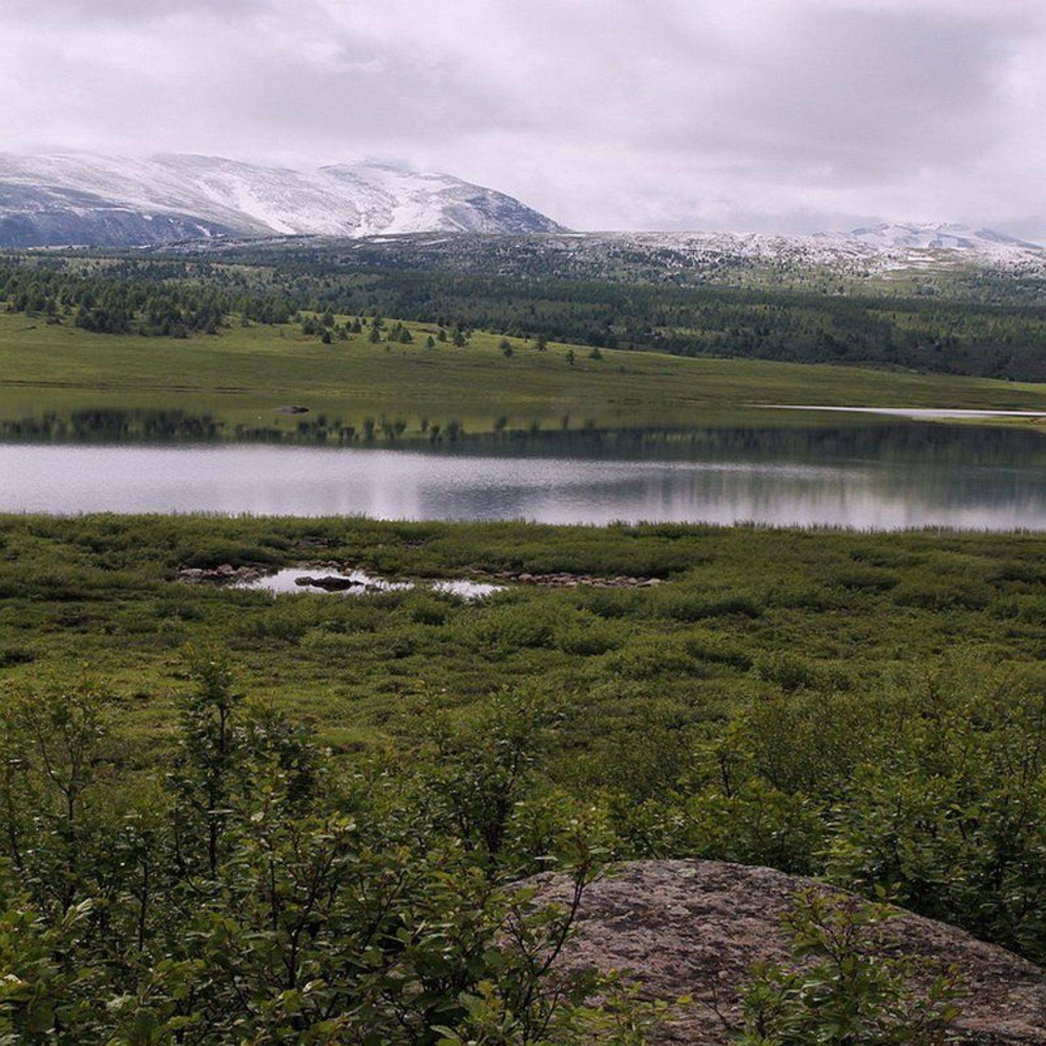 , Олег Кулаков