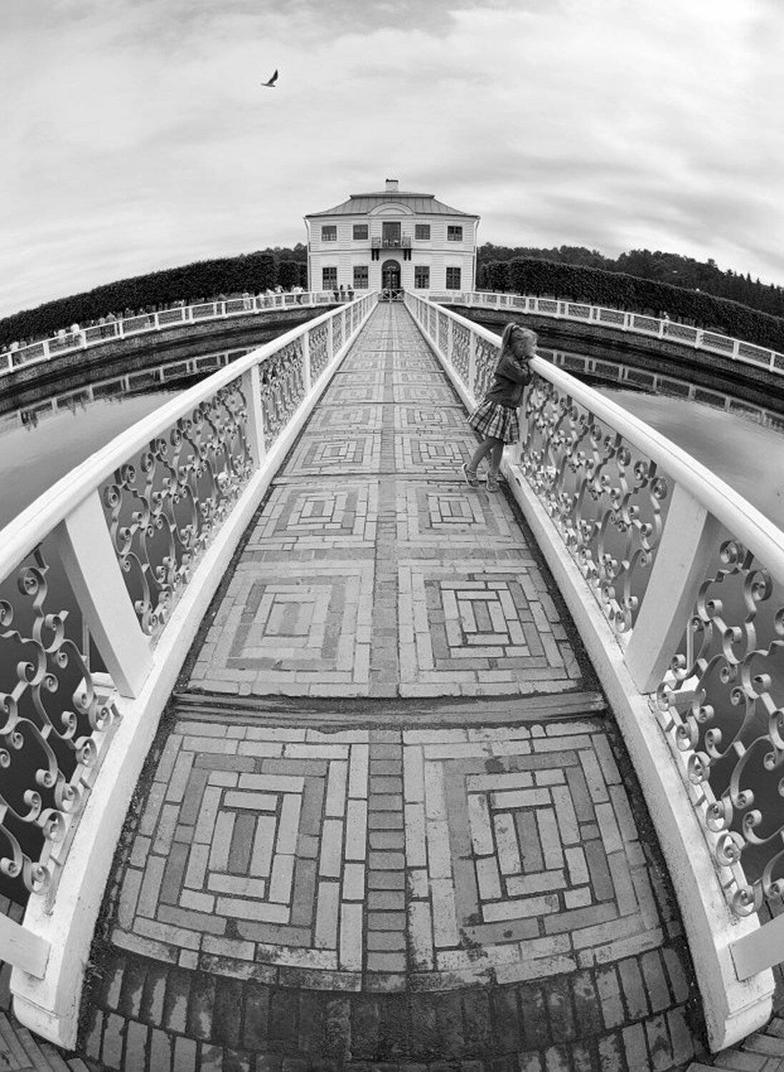 , Максим Евдокимов