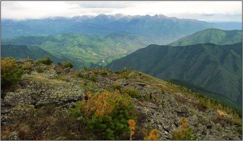 Краски Алтая