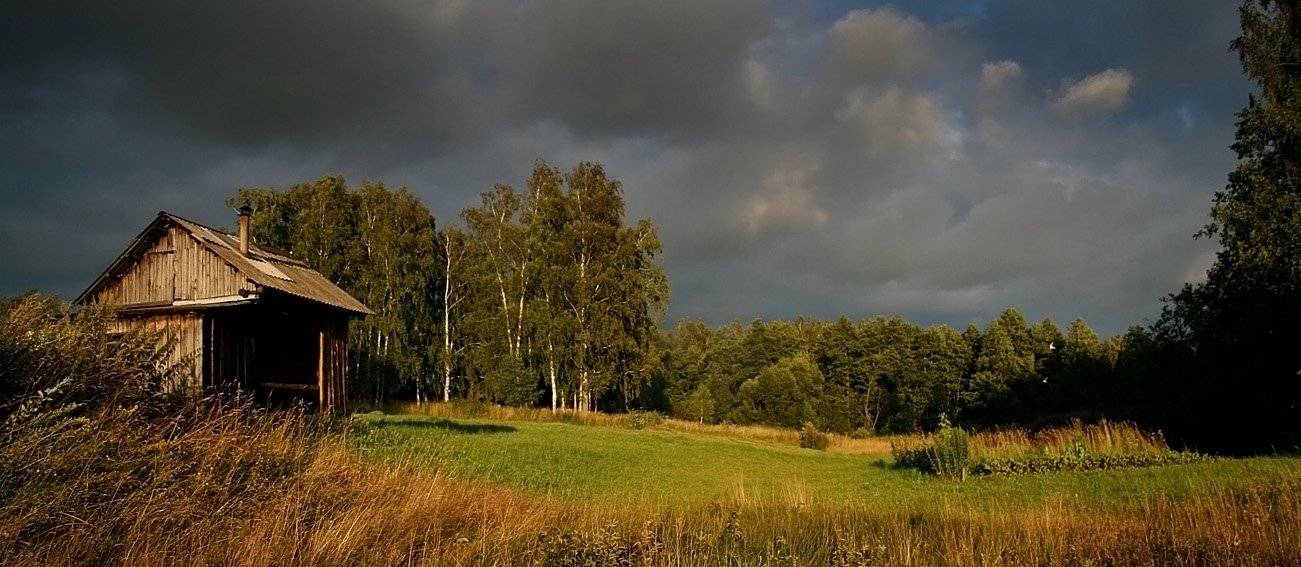 , Василий Черкасский