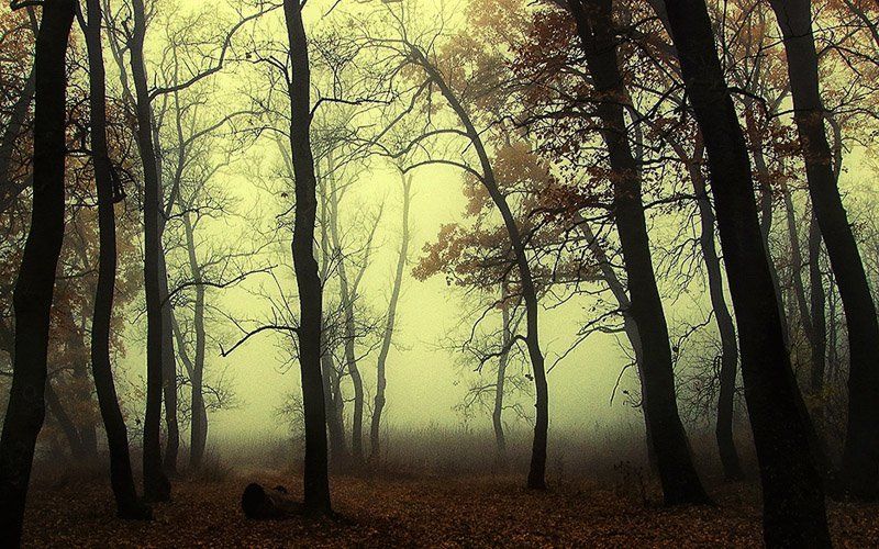 ***** фото превью