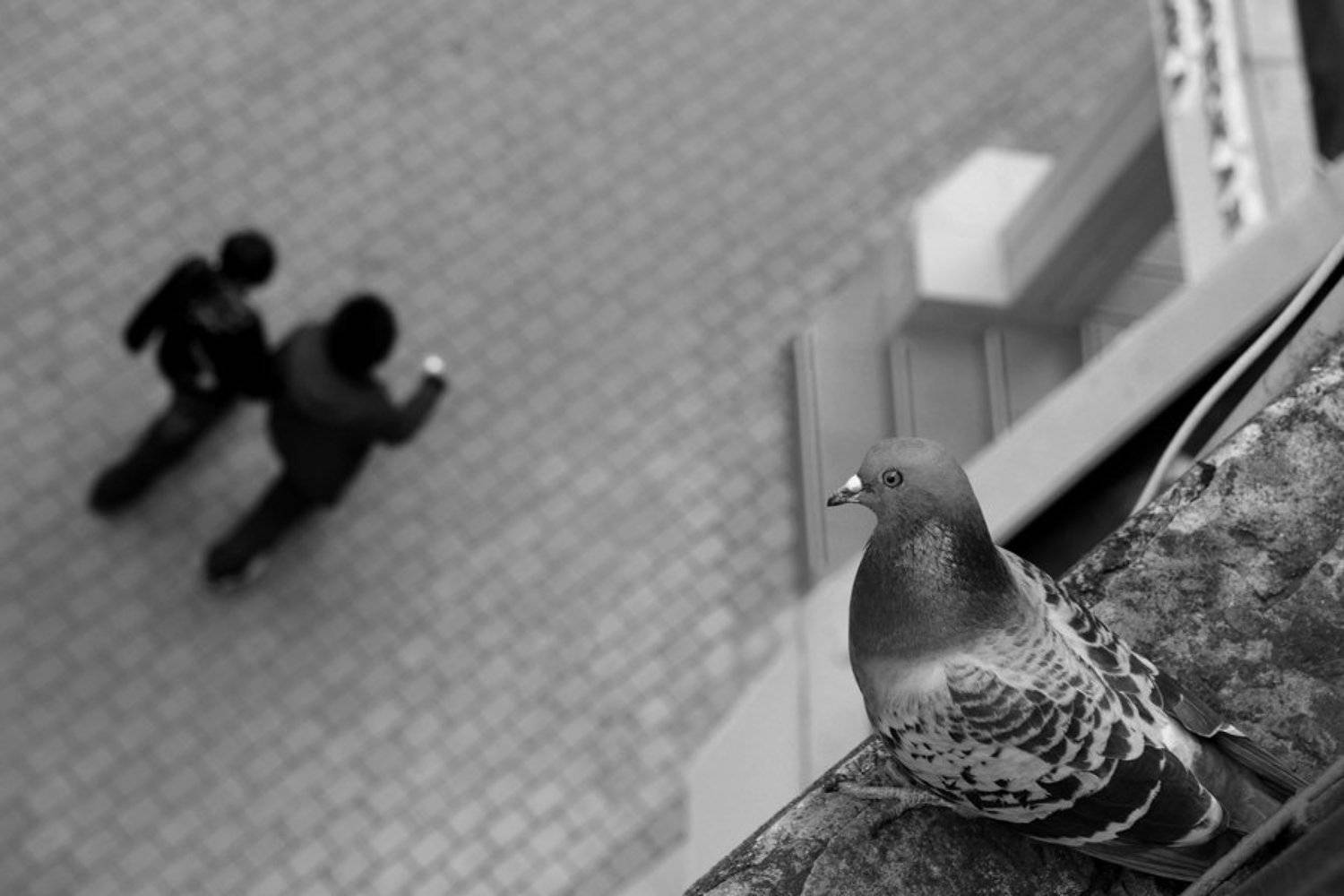 , Бондаренко Александр