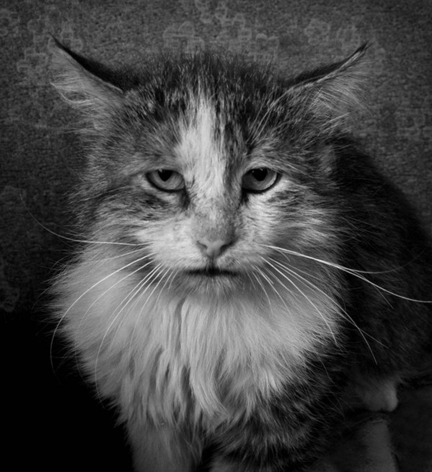 , Бондаренко Александр