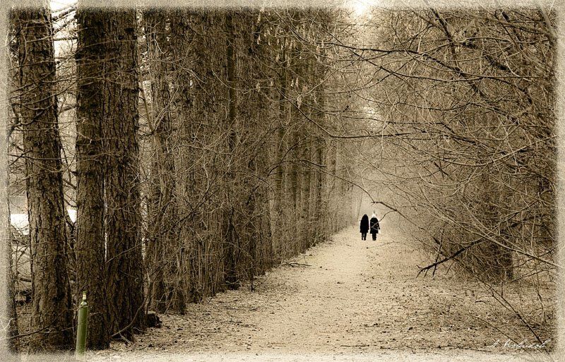 Куда-то... фото превью