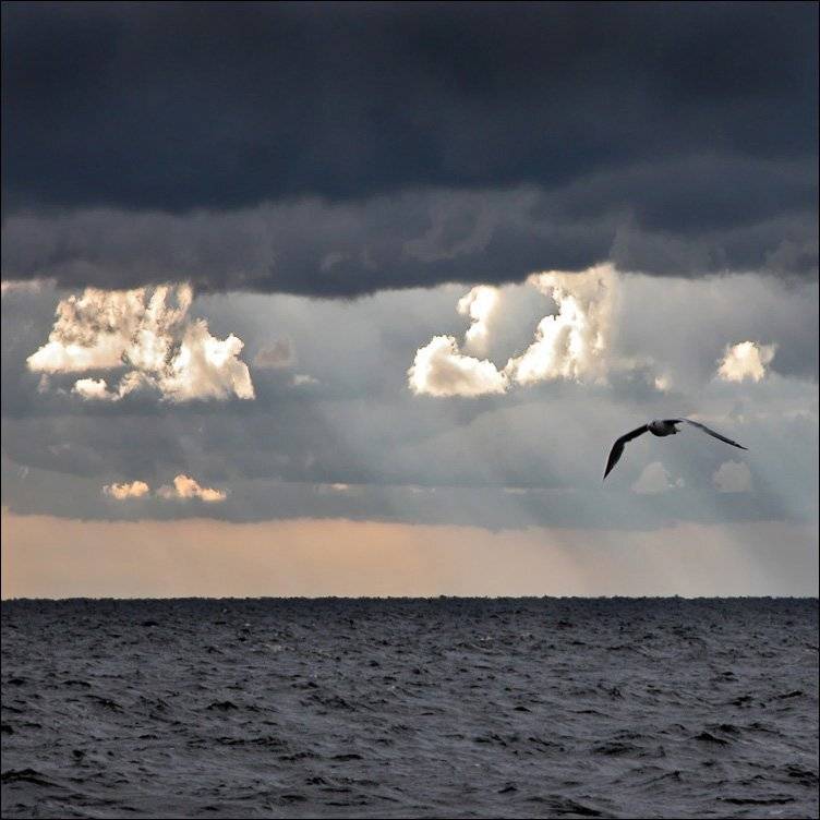 ладога, Тарасов Алексей