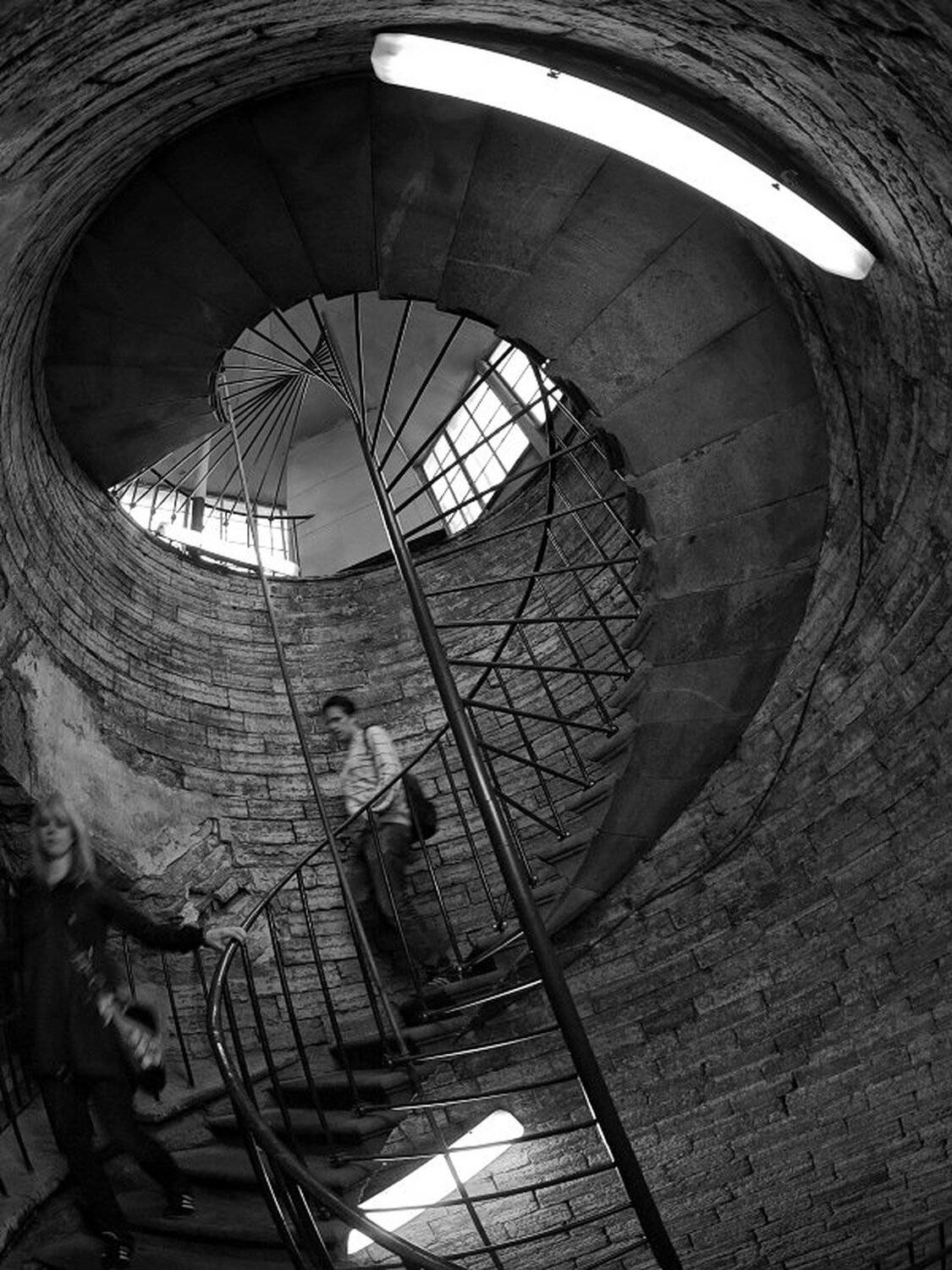 , Максим Евдокимов