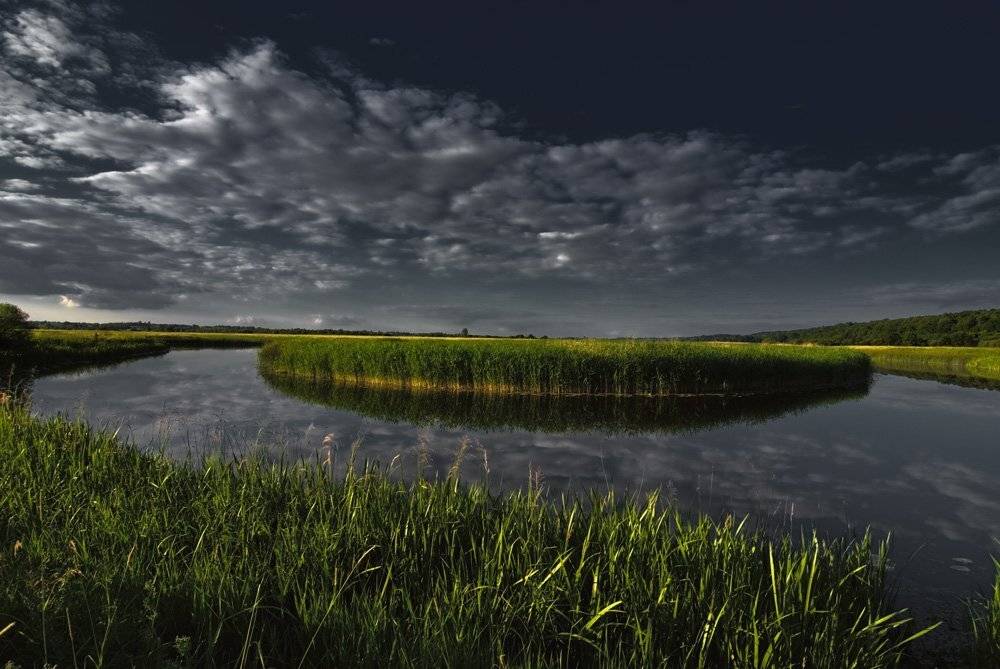 , Александр Титаренко