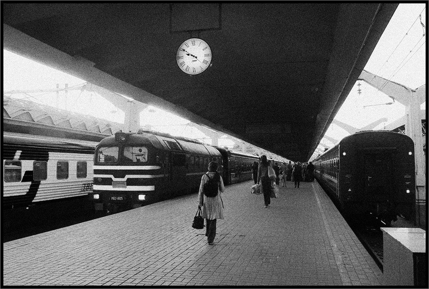 , Лунный Ежик