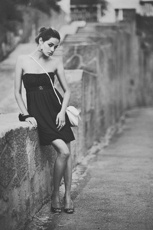 Бомбейские кошки фото превью