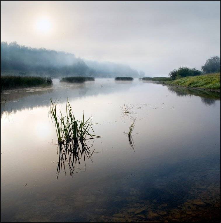 угра, река, туман, утро, камыши, Boris Bort