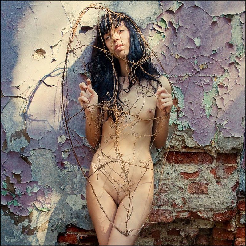 ню Яйцеклетка фото превью