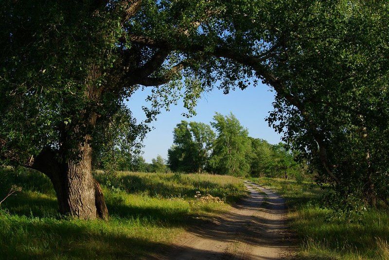 природа, зауралье, фотограф, руденко, олег *** фото превью