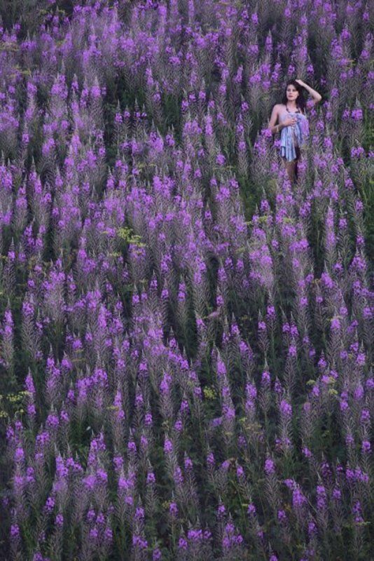 *** фото превью