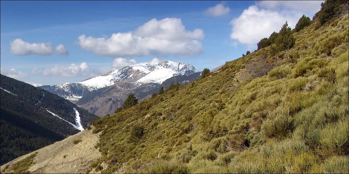 горы, Тарасов Алексей