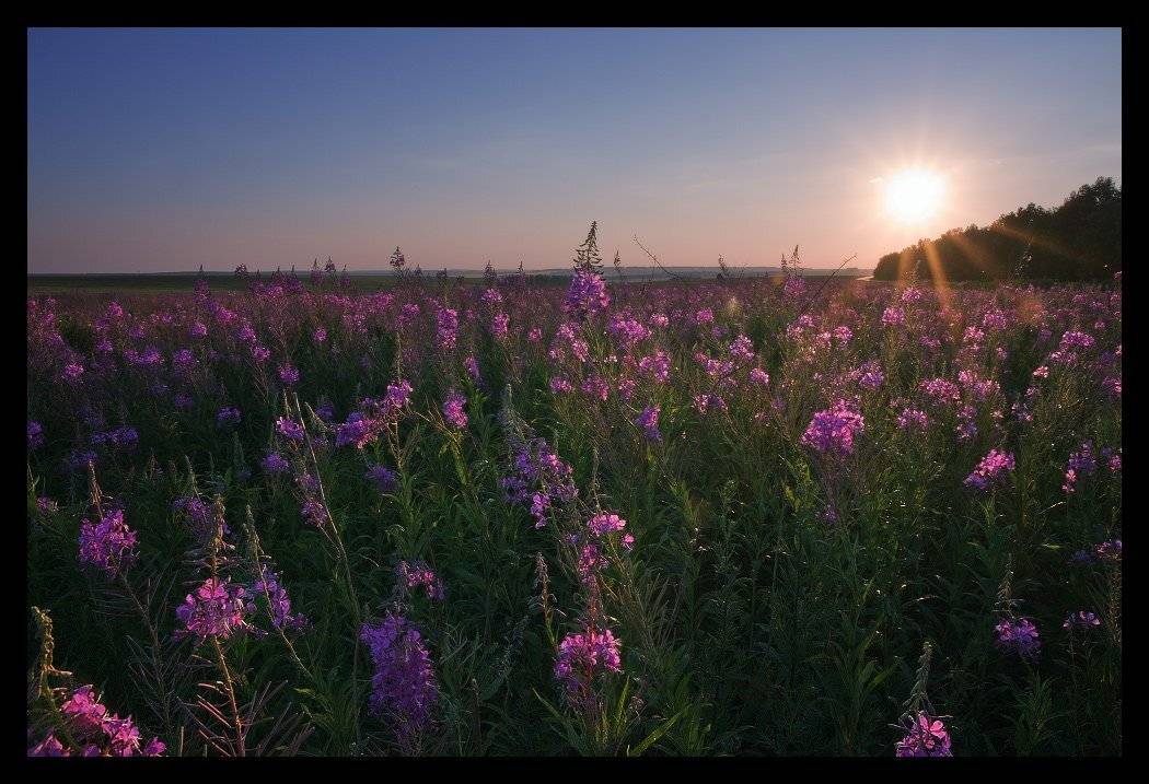 закат, пейзаж, Андрей Уляшев (Mercand)