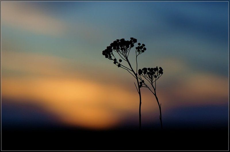 С любимыми не расставайтесь... фото превью