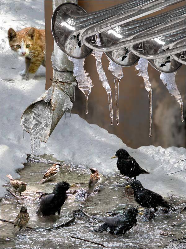 Фанфары фото превью