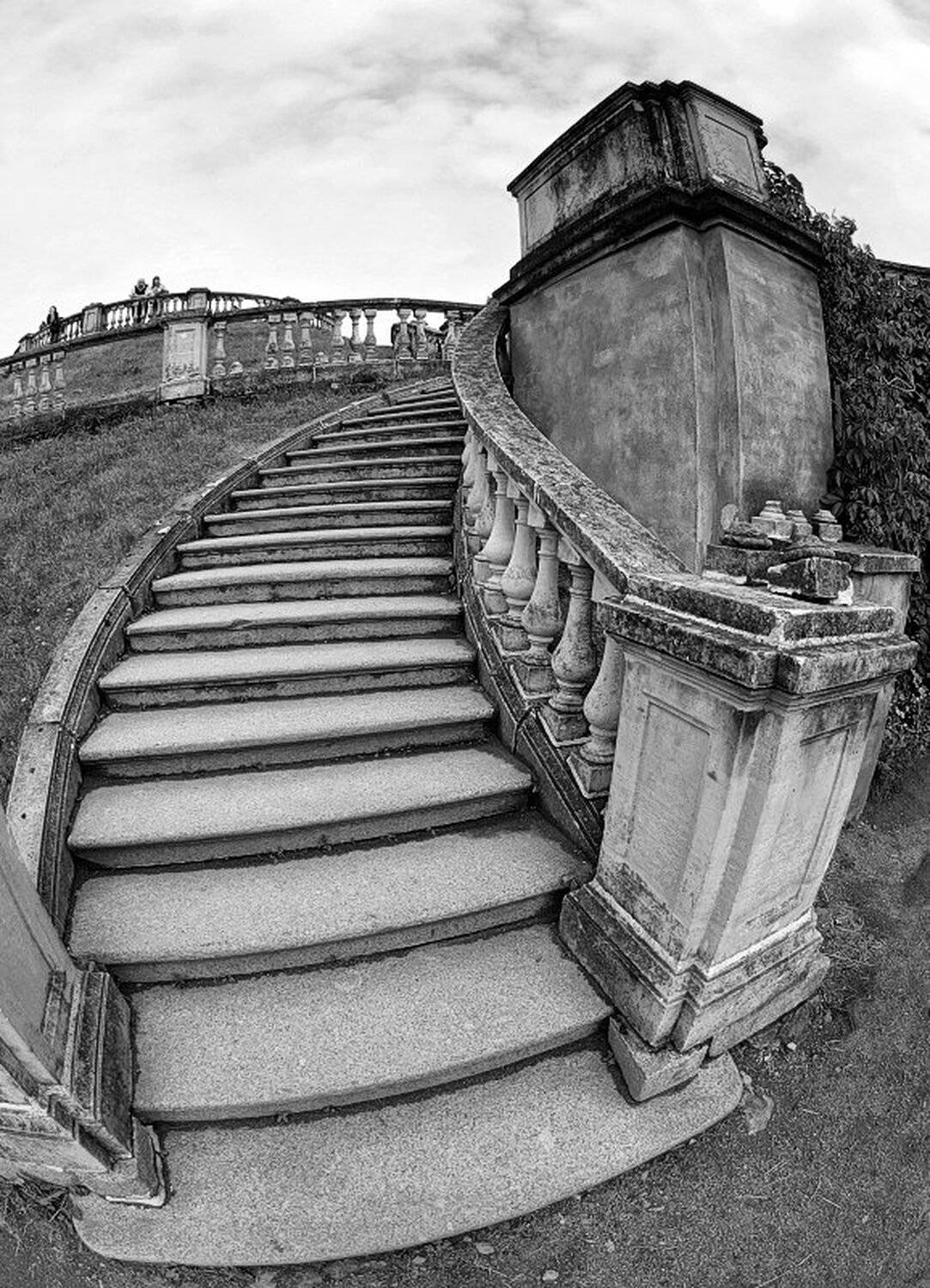 , Максим Евдокимов