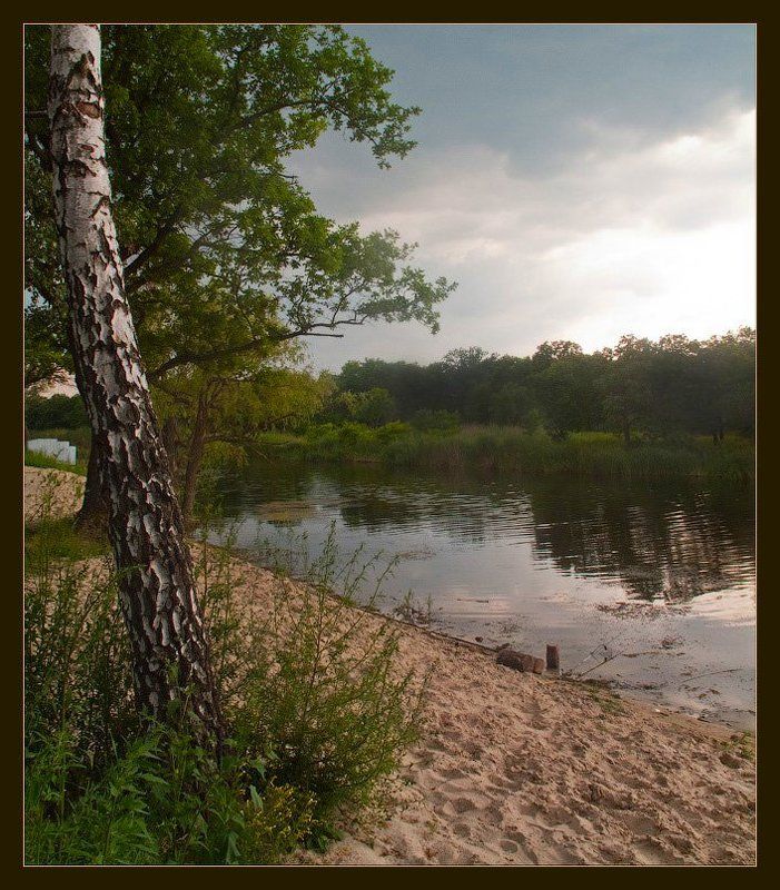 речка, перед, дождем, береза, песчаный, берег, удочка за городом... фото превью