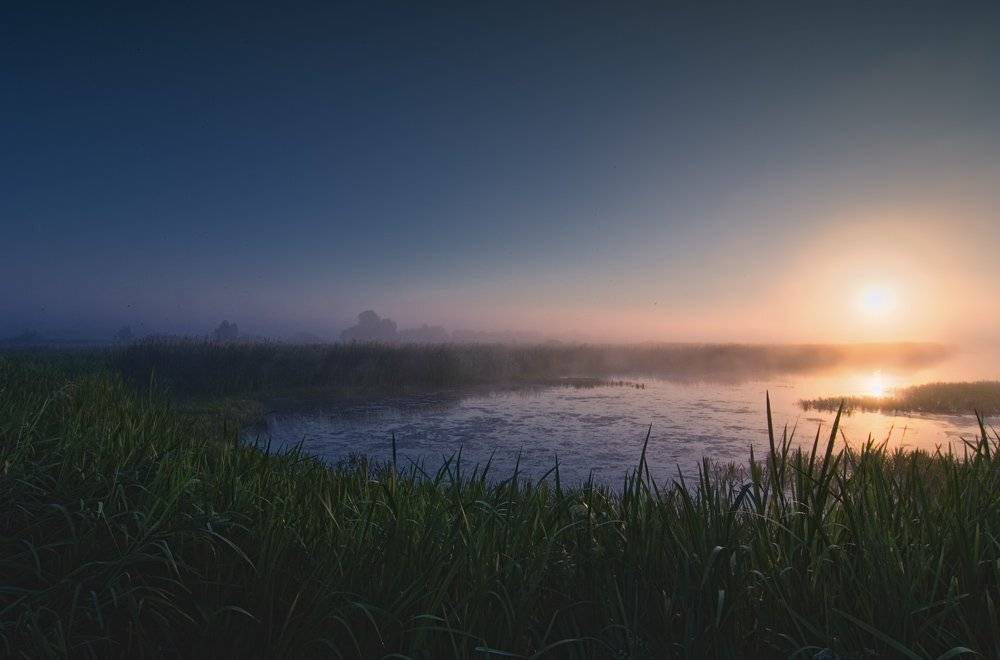 , Александр Титаренко