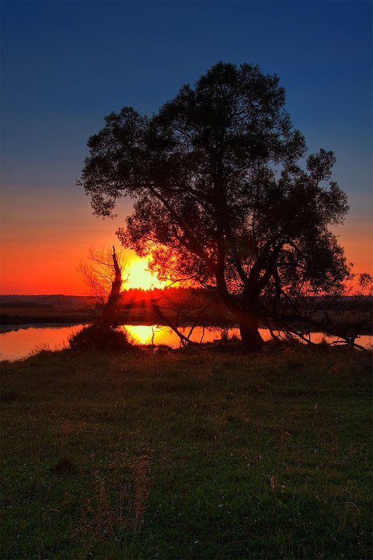 вечер, закат, дерево, пруд Вечерняя пастораль фото превью