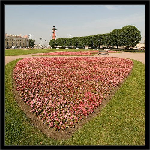 Летняя питерская открытка с любовью :)