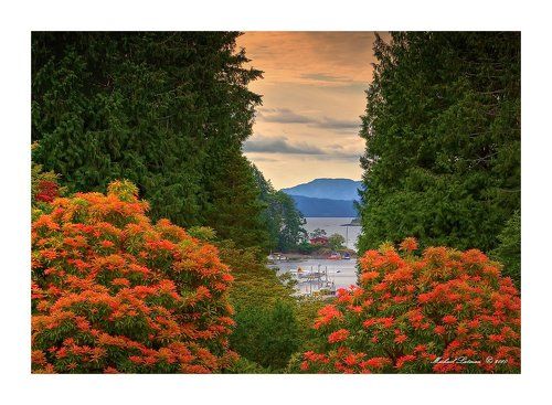 Vancouver Island.Summer time.