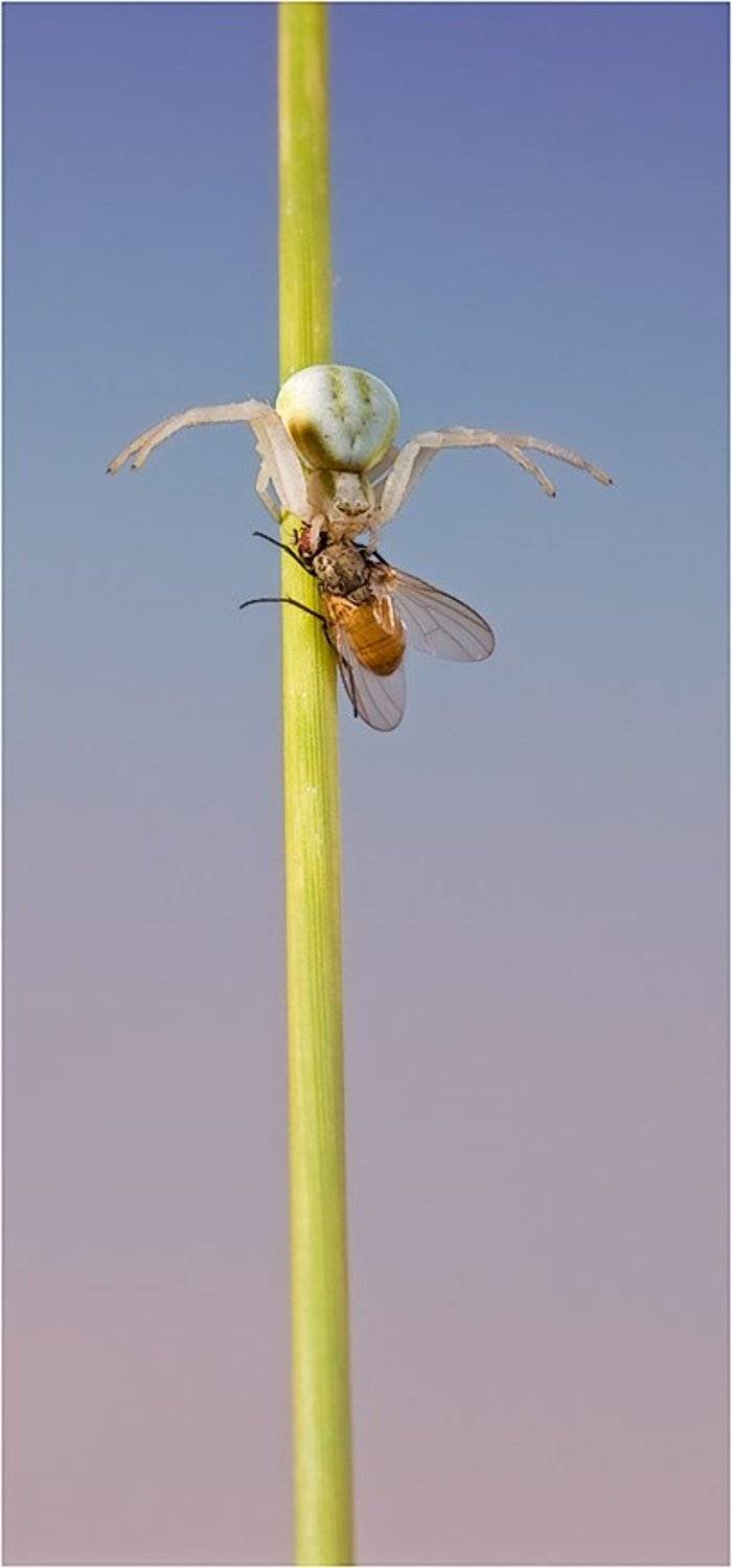 , Курочкин Валерий