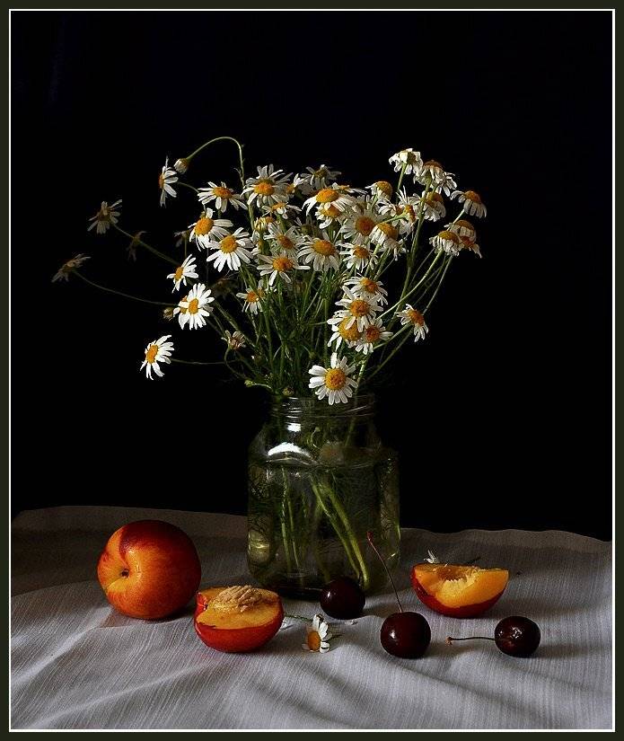 , Октай Гусейнов