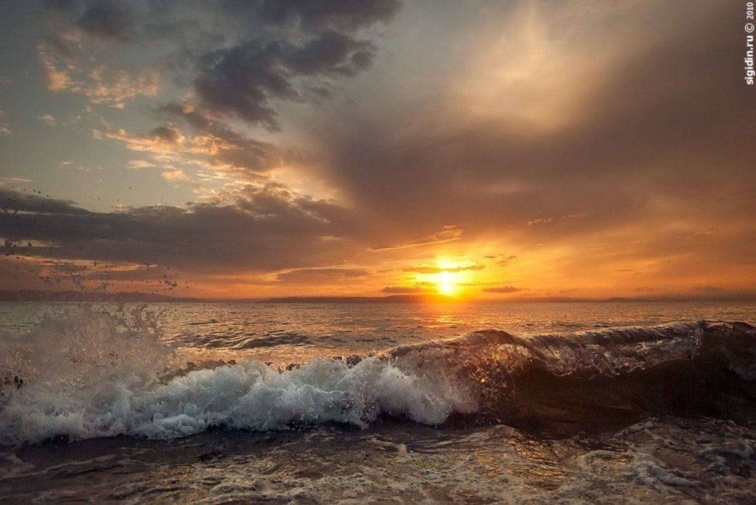 , Данил Сигидин