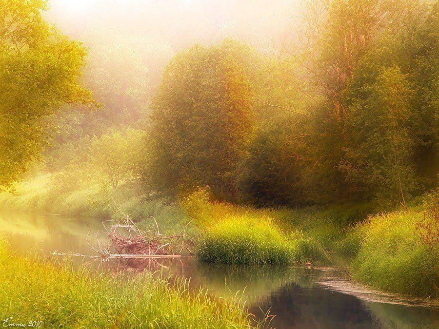 природа, лес, утро, , волшебство, красота, свет, цвет, свежесть, пейзаж, вечер, вода, зарисовка, краски, осень, растительность, р.воря, тень, река, етти