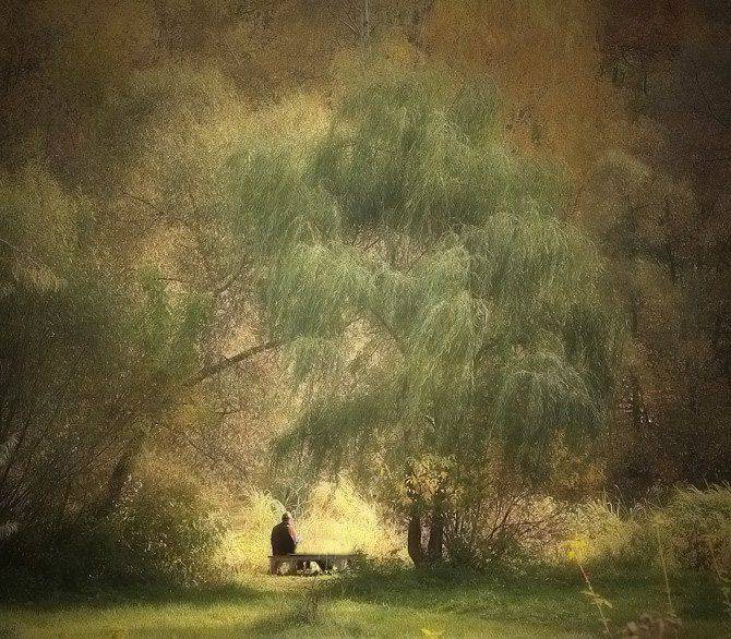 парк., человек., Александр