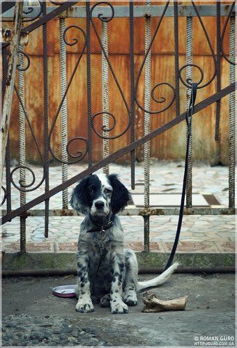 На сухом пайке