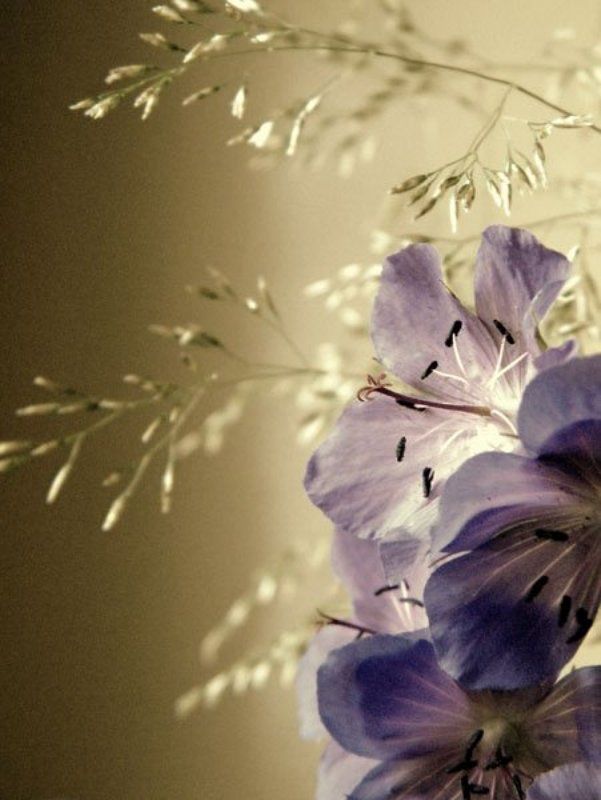 * фото превью