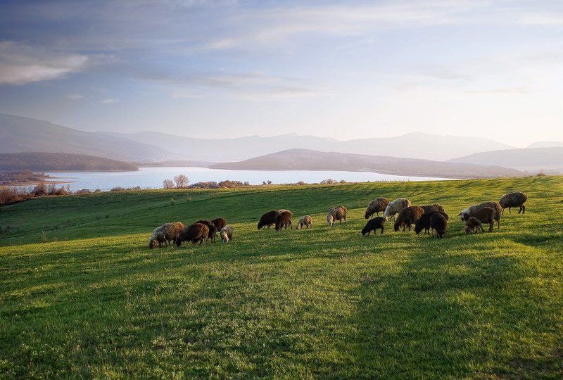 фото превью