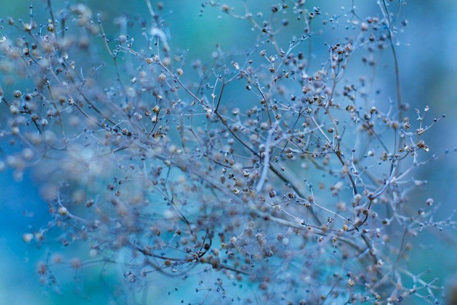 макро, мир, Андрей Заяц