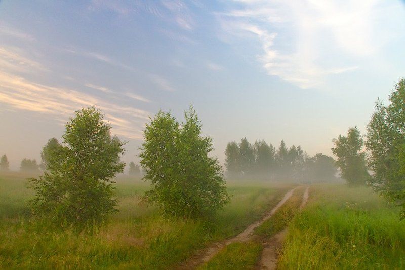 туман, утро Туманы фото превью