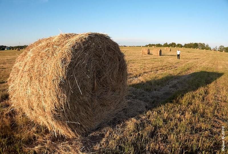 Один в поле не воин фото превью