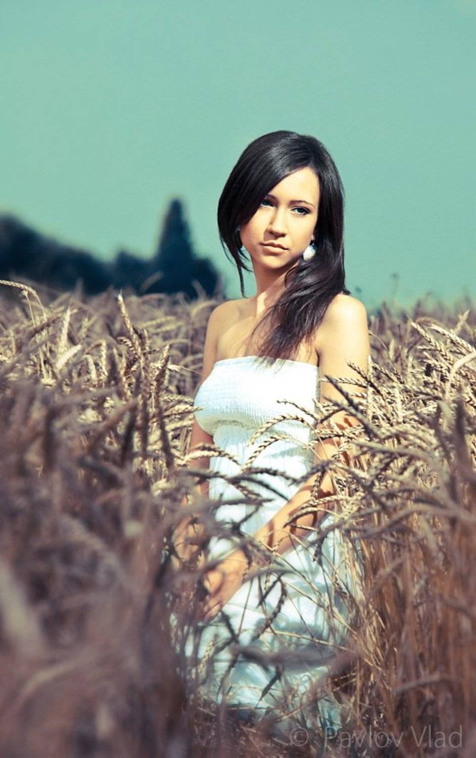 , Влад Павлов