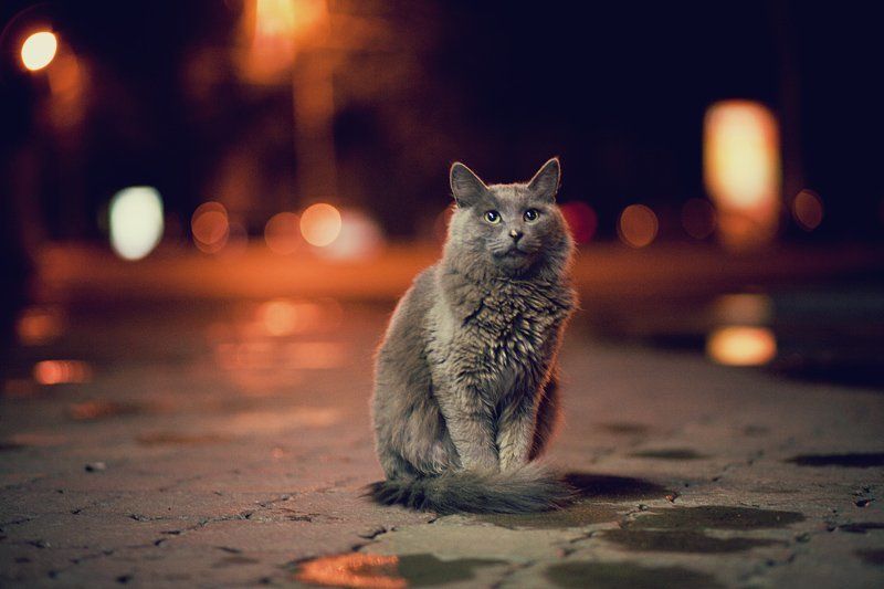 на проспекте что творится фото превью