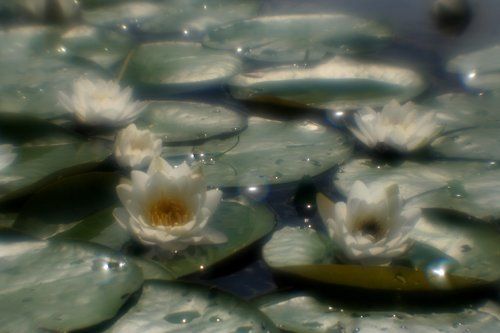 Не во сне, а наяву