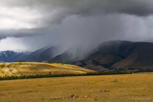 Местами дожди